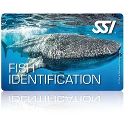 Fish Idenfication - SSI Specialty - Online Tauchkurs