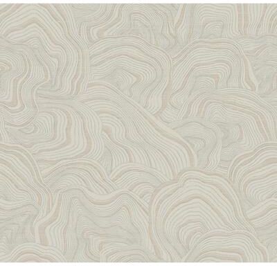 Ronald Redding Geodes Taupe Wallpaper
