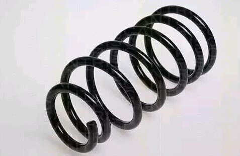MONROE SP2879 Coil spring