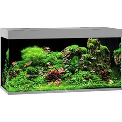 JUWEL Rio 350 LED Aquarium Set grau