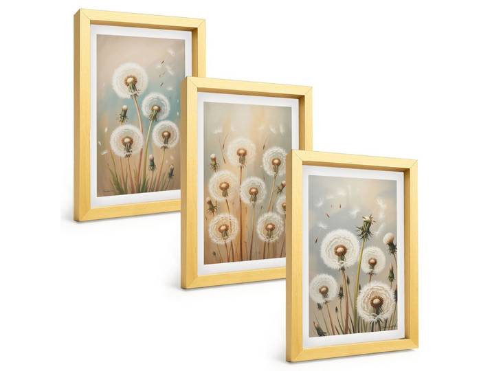 BILDER SET 3er Set - 20x30 cm Goldrahmen - Pastellfarbene Löwenzahnblüten