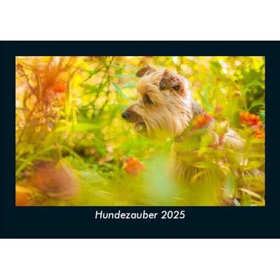Hundezauber 2025 Fotokalender DIN A5