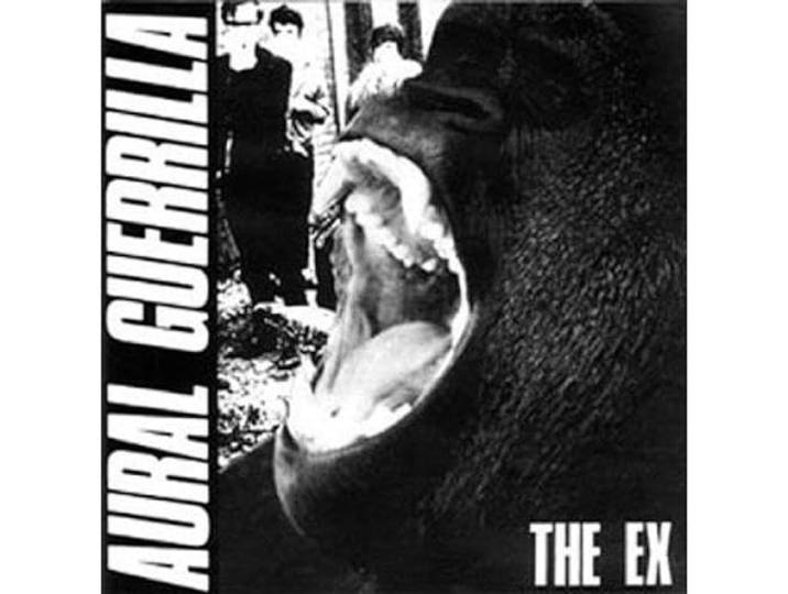 Aural Guerrilla