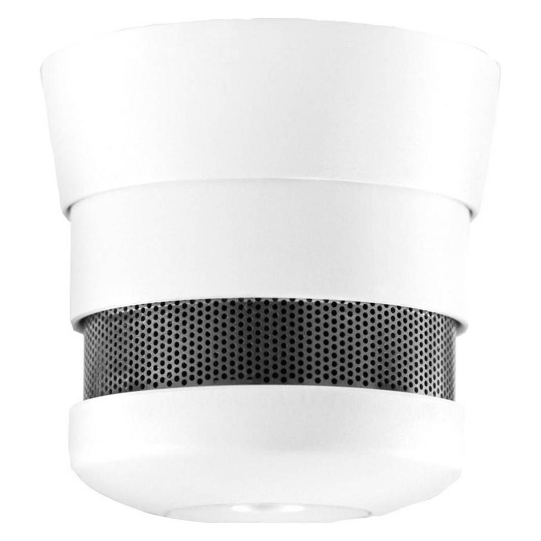 Cavius Invisible (D-1471200)