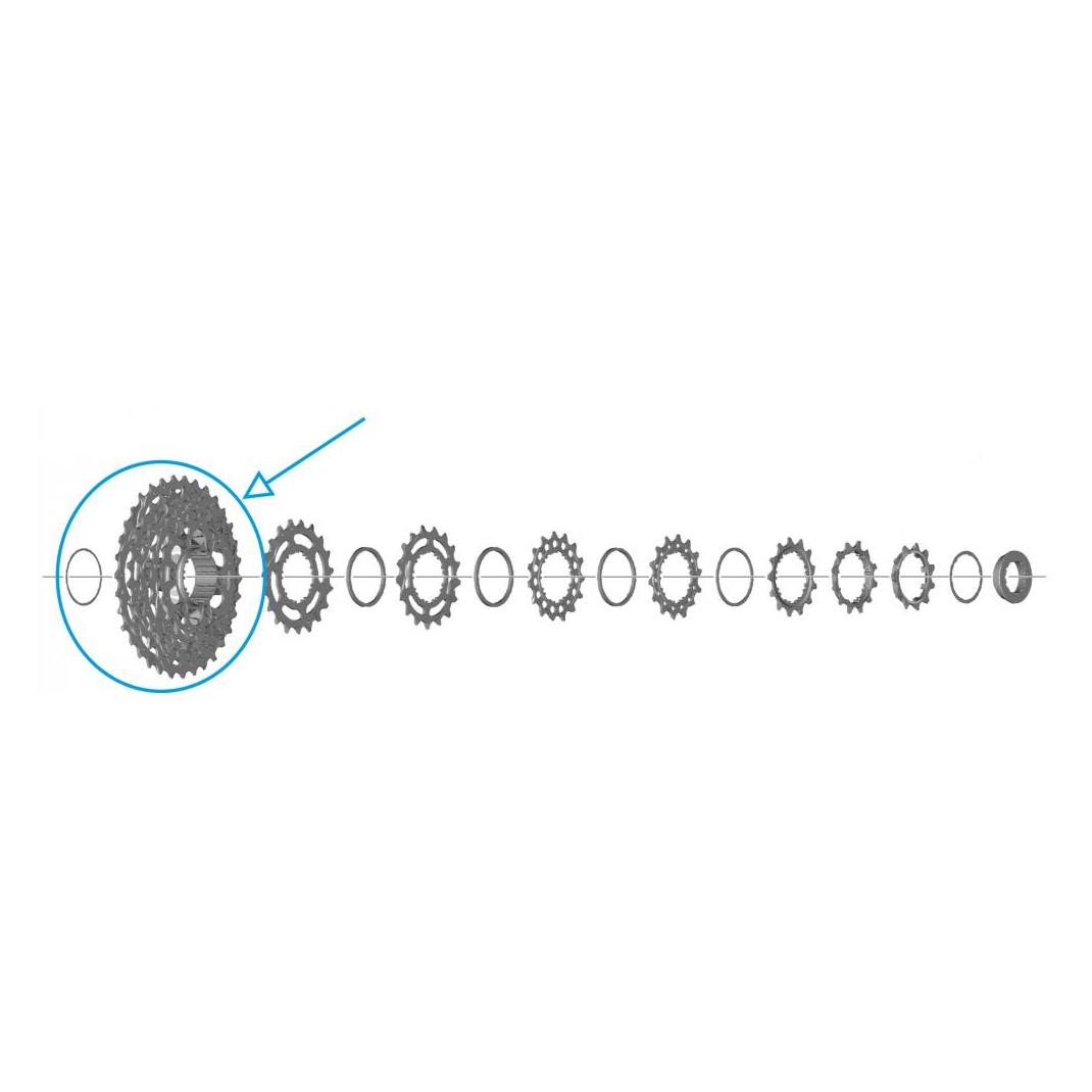 Shimano Ritzel (21) (38736179)