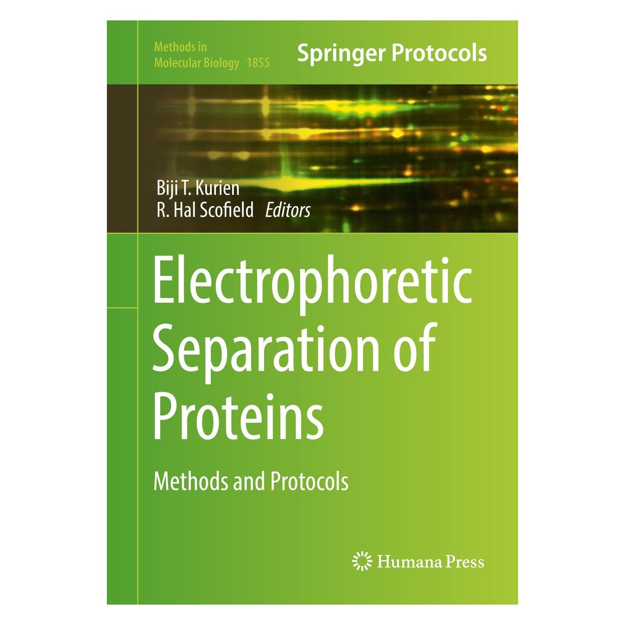 Springer Electrophoretic Separation of Proteins (Englisch, Hardcover, Biji T. Kurien, R. Hal Scofield) (9781493987924)
