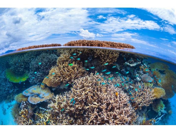 Fototapete PAPERMOON Photo-Art BARATHIEU GABRIEL, SPLIT-LEVEL VON MAYOTTE REEF , bunt, B:5m L:2,8m, Vlies, Tapeten, Fototapete