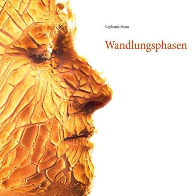 Wandlungsphasen, Taschenbuch von Stephanie Menn, BoD – Books on Demand, 978-3-7526-8728-6