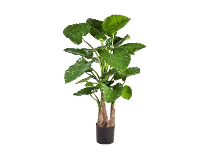 Lebensechte Kunstpflanze „Alcosia Calidora“ Grün Höhe 120 cm Baq Design