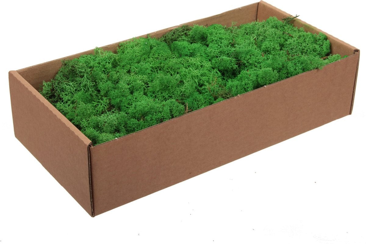 Othmar Decorations Decoratie mos - Groen - Natuurlijk - 500 gram - Finlands mos voor hobbygebruik