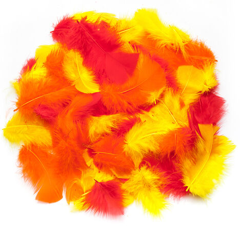Echte Federn, rot-gelb-orange, 20 g = ca. 160–170 Federn