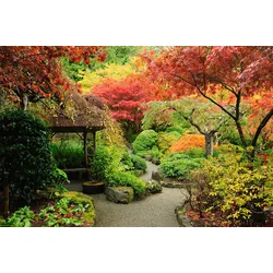 Fototapete PAPERMOON "NATUR DESIGN-PFLANZEN GARTEN BÄUME WALD WANDTAPETE XXL", bunt, B:5m L:2,8m, Vlies, Tapeten