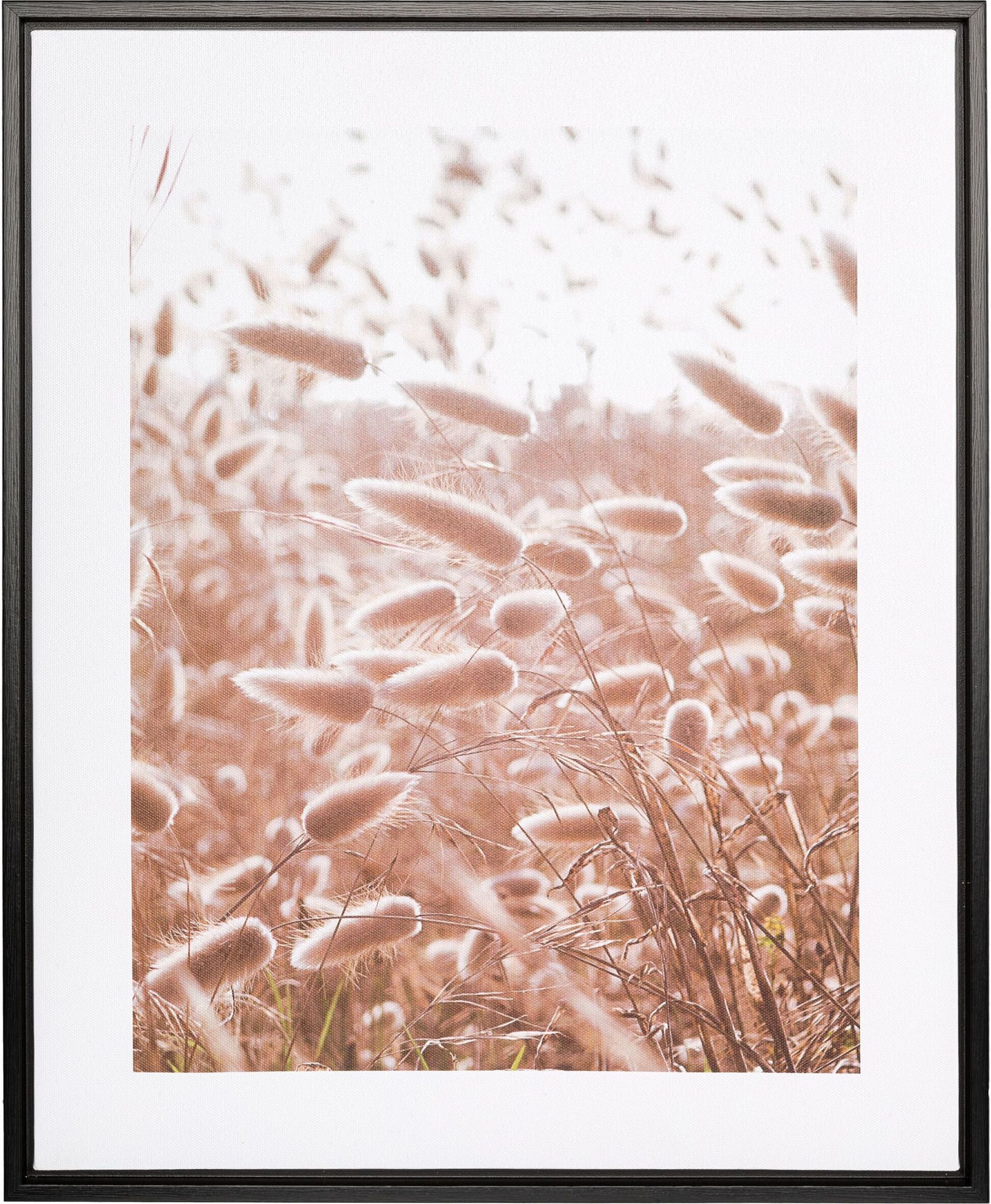 Bild mit Rahmen CREATIV HOME "Leinwandbild Grasblüten", bunt (farbe rahmen: schwarz, farbe bild(er): bunt), B:40cm H:50cm T:2,5cm, Canvas, Kunststoff, Bilder, Bild mit Rahmen, mit Rahmen