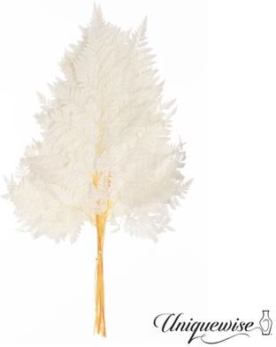 Uniquewise Preserved Real Floral Stems Chic Vase Fillers & Accents for Bouquets Centerpieces & Ornamental Displays