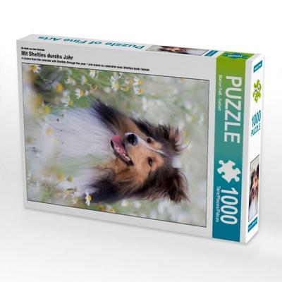 CALVENDO Puzzle Ein Motiv aus dem Kalender Mit Shelties durchs Jahr | 1000 Teile Lege-Größe 64x48cm Foto-Puzzle für glückliche Stunden