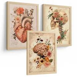 POSTER Set aus 3 Anatomie Mensch Drucke und Wandbilder mit Herz Gehirn und Schädel Vintage Floraler Stil Wanddekoration Größe Rahmenlos A3