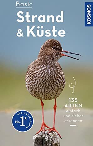Ute Wilhelmsen - Basic Strand und Küste: einfach und sicher erkennen - Preis vom 10.10.2026 11:48:34 h
