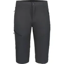 ICEPEAK Herren Hose SKATE, Größe 48 in Grau Grau