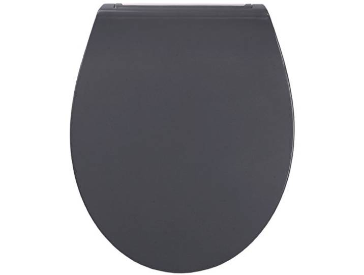 Sanilo WC Sitz mit Absenkautomatik aus Duroplast Flat Grau