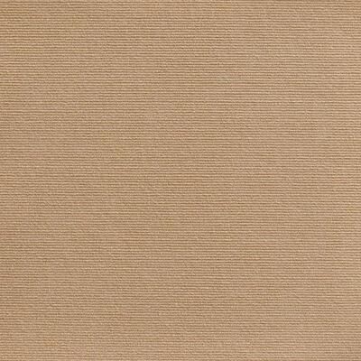 Inspired Finds 7 Sizes Self Adhesive Cat Scratch Mats Durable Furniture Protection Carpet Pads For Sofa & Floors khaki 11.81x39.37in
