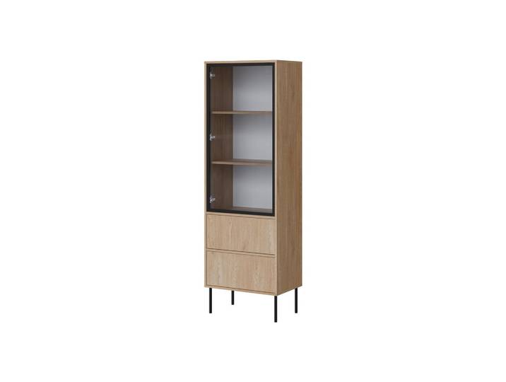 VITRINE Domi 60 2S