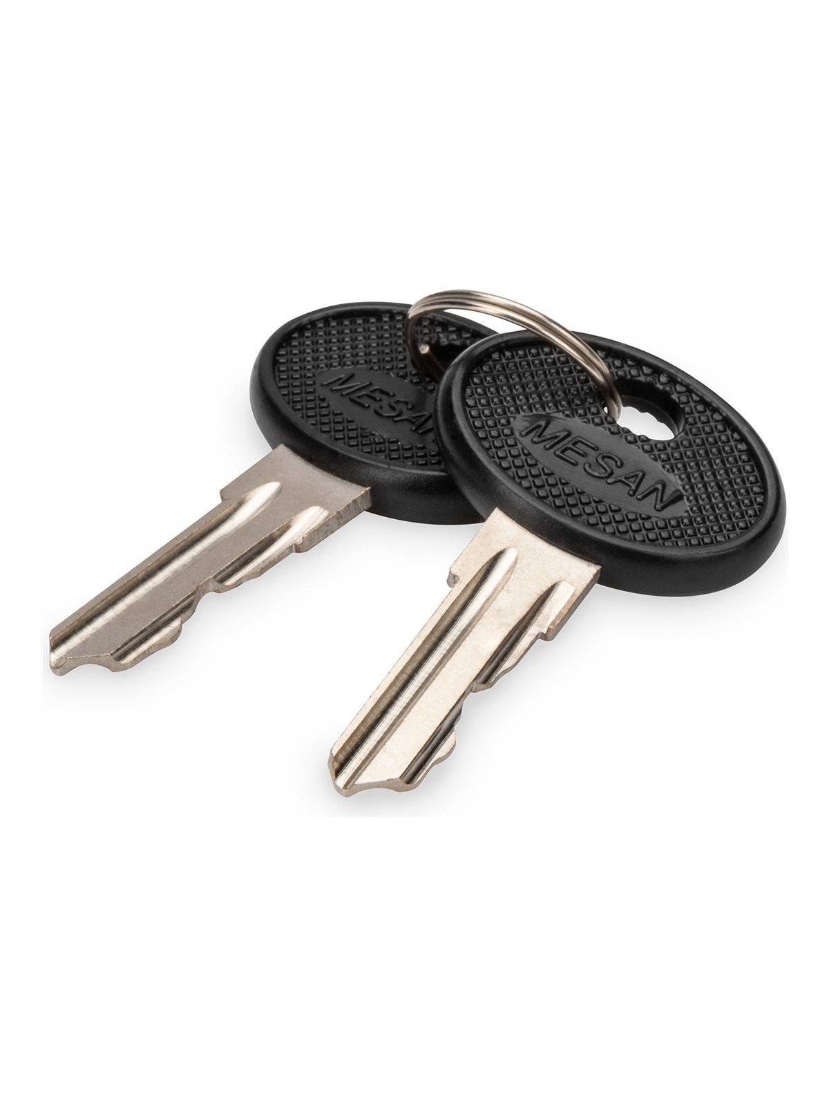 DIGITUS Key for DVR wall-mounted housing DN-DVR-1