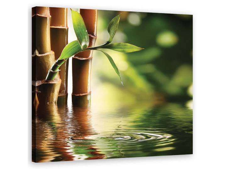 Feeby Wandbild zen bambus, Grün, Orientalisch, Rechteckig, 50x50 cm, Bilder & Rahmen, Bilder, Leinwandbilder