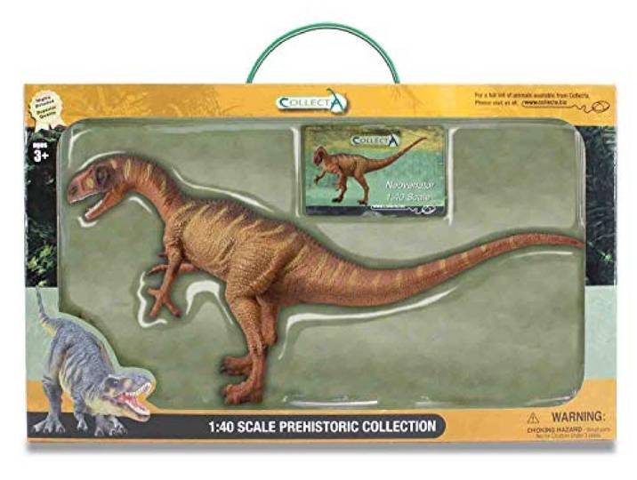 Collecta 01:40 Neovenator (Deluxe) in Window Box