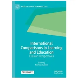 International Comparisons in Learning a, Fachbücher von Norman Gabriel