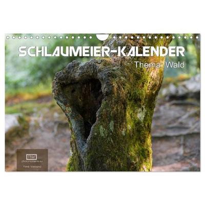 Schlaumeier-Kalender - Thema: Wald (Wandkalender 2027 DIN A4 quer), CALVENDO Monatskalender