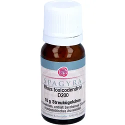 Rhus Toxicodendron D200 10 G