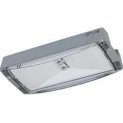 Ceag Notlichtsysteme Sicherheitsleuchte AtlanticLEDRHBCG-S