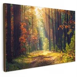 LEINWANDBILD Wald - Herbst - Bäume Groß 140x90 cm