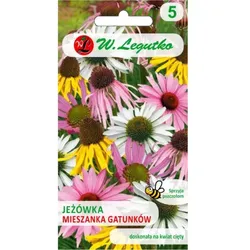 Echinacea – Artenmischung
