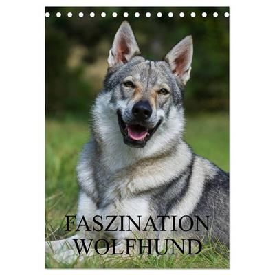 Faszination Wolfhund (Tischkalender 2026 DIN A5 hoch), CALVENDO Monatskalender