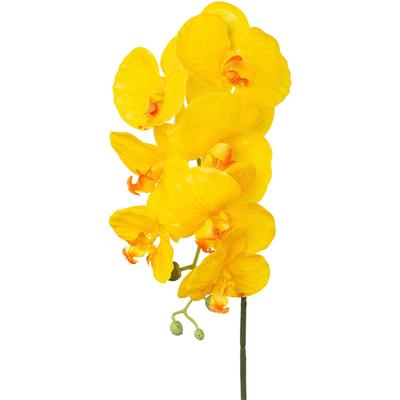 Kunstorchidee CREATIV GREEN "Orchidee Phalaenopsis", gelb, H:76cm, Kunstpflanzen, mit real-touch-Blüten