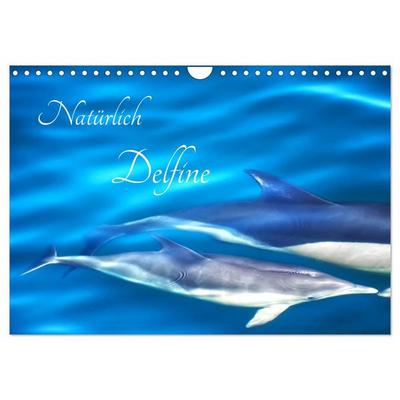 Natürlich Delfine (Wandkalender 2026 DIN A4 quer), CALVENDO Monatskalender