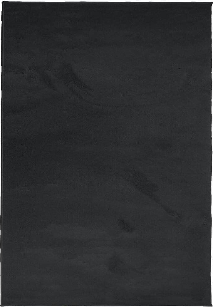 Brayden Studio Baia Area Rug Black Rectangle 200 x 280cm