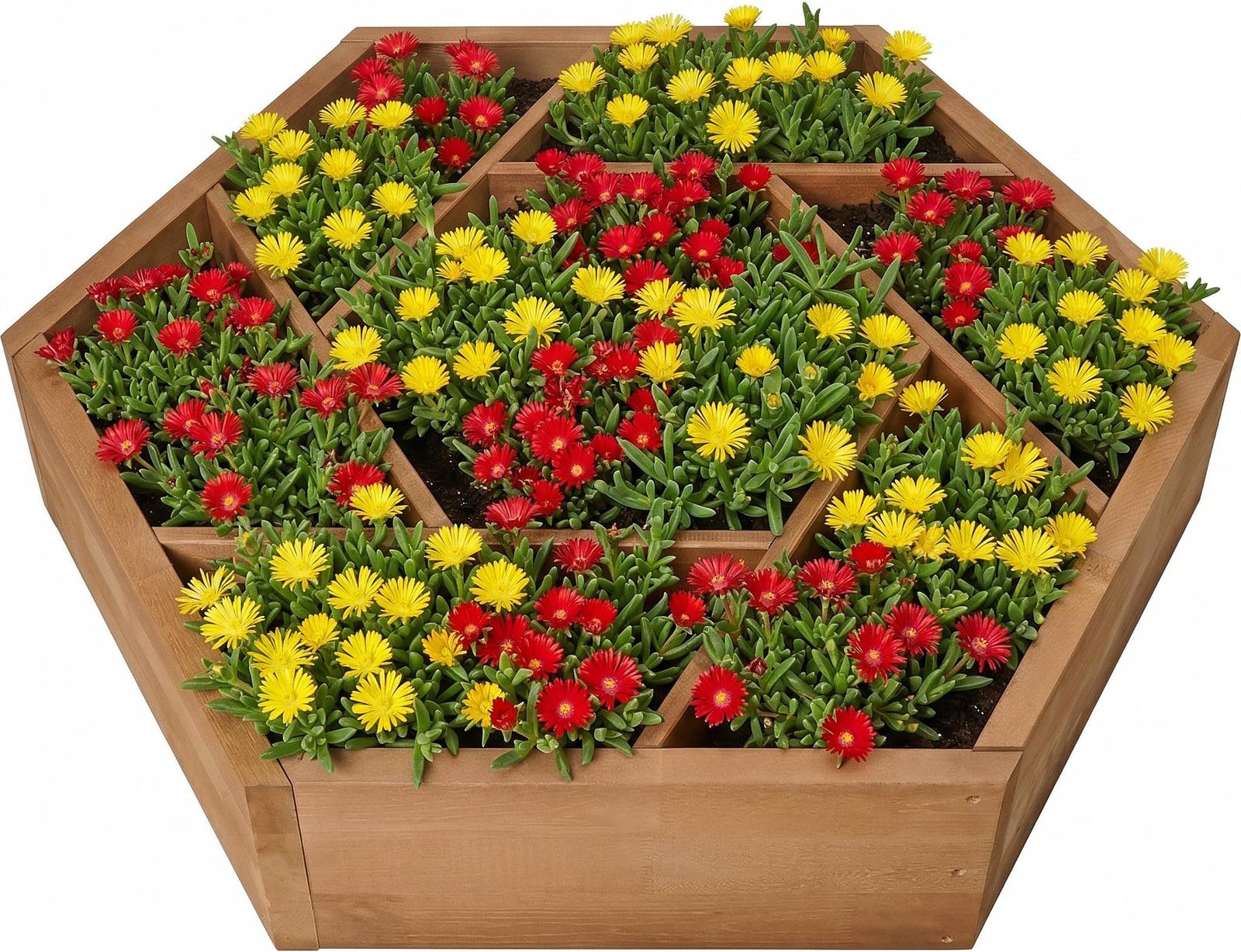 needs&wants® Multifunctioneel verhoogd plantenbed met 7 plantvakken, zeshoekig, van hout