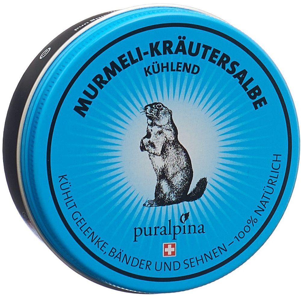 Puralpina Murmeli-Kräutersalbe kühlend 100 ml Salbe