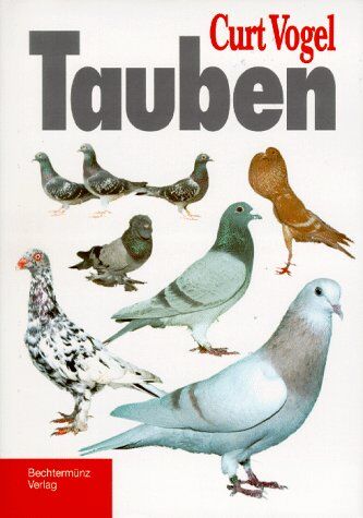 Tauben - Preis vom 09.10.2026 07:28:09 h