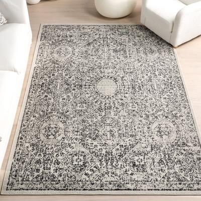 Nuloom Minta Vintage Transitional Area Rug