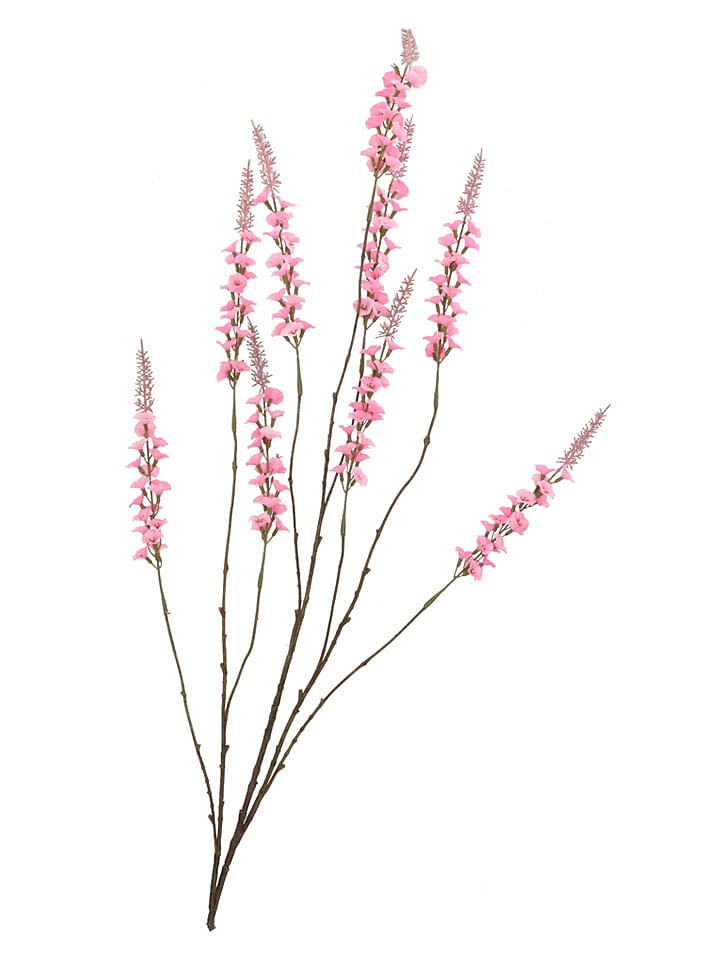 daan kromhout Dekozweig "Campanula" in Rosa - (H)146 cm - onesize