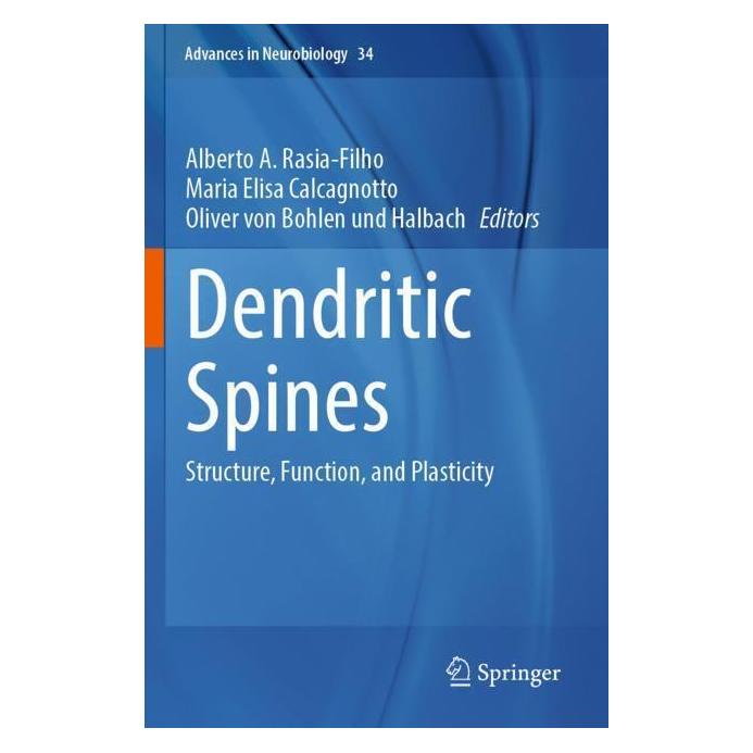 Springer Dendritic Spines (Englisch, Softcover, Alberto A. Rasia-Filho, Maria Elisa Calcagnotto, Oliver von Bohlen und Halbach) (57167849)