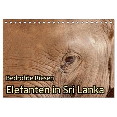 Bedrohte Riesen - Elefanten in Sri Lanka (Tischkalender 2027 DIN A5 quer), CALVENDO Monatskalender