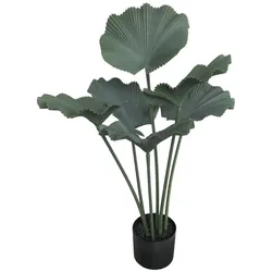 Chic Antique Fleur Strahlenpalme Kunstpflanze, H85/Ø18 cm grün