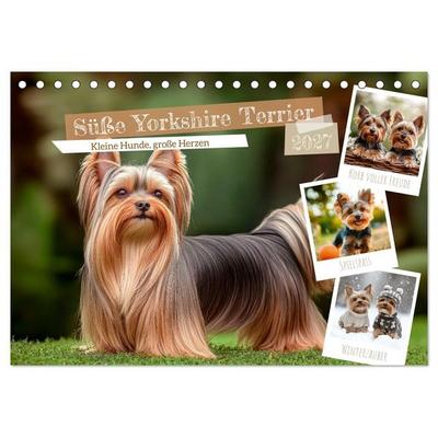Süße Yorkshire Terrier - Kleine Hunde, große Herzen (Tischkalender 2027 DIN A5 quer), CALVENDO Monatskalender