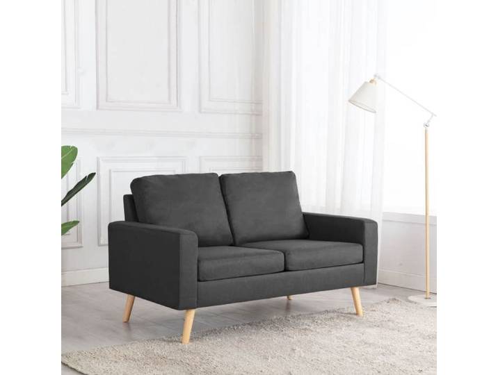 Sofa salon à deux places（2 places） - Canapé DOUBLE - montage simplifié - Gris foncé Tissu CL5336182