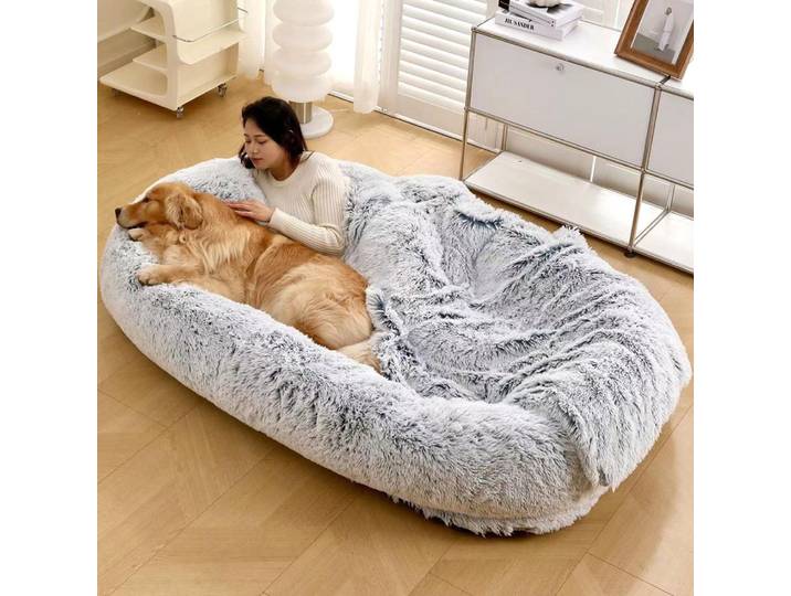 Grand Lit Ovale Multifonctionnel pour Chien, 65x37.4x11.8, avec Poignées Amovibles, Design Non ALD, Taille Humaine