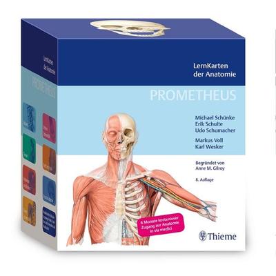 PROMETHEUS LernKarten der Anatomie, Sonstige von Michael Schünke,Erik Schulte,Udo Schumacher, Thieme, 978-3-13-244425-6
